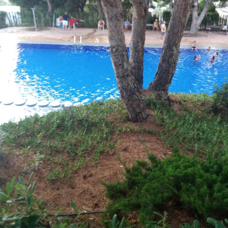 NUEVO APTO BALCON DE PONIENTE 1 A LÍNEA PLAYA TORRE 2 LUXE SM CON AIRE, PISCINA,JAR VISTAS ESPECTACULARES AL MAR De BENIDORM - Apartamento de 2 dormitorios - 20
