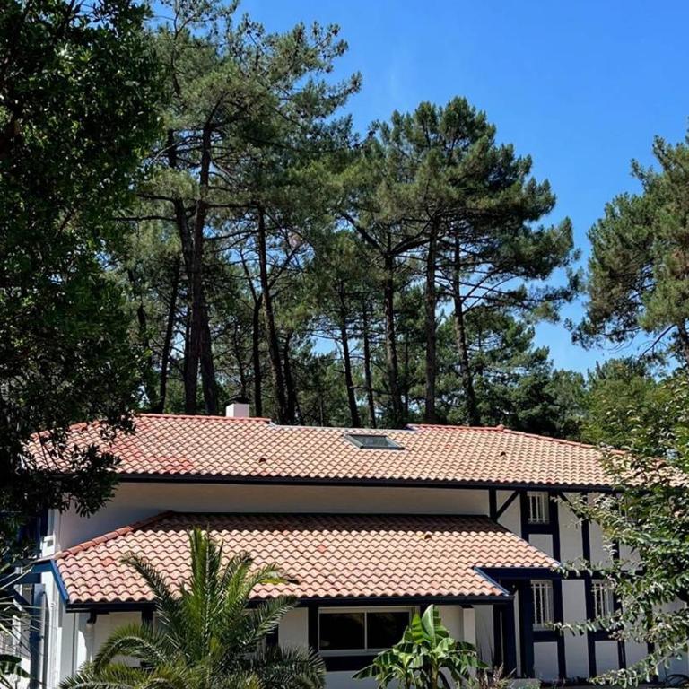 Villa de luxe avec piscine chauffée, jacuzzi, sauna au cœur de la forêt des Landes - Villa mit 3 Schlafzimmern - 20