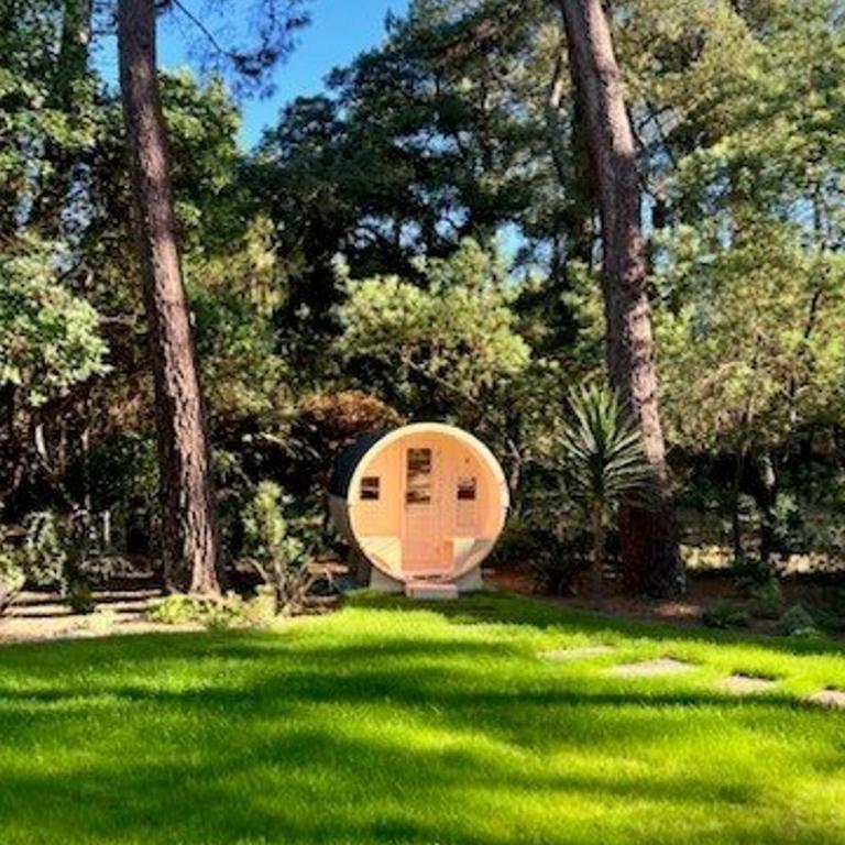 Villa de luxe avec piscine chauffée, jacuzzi, sauna au cœur de la forêt des Landes - Villa mit 3 Schlafzimmern - 21