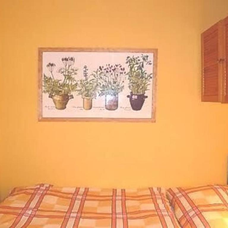 Chavonnes 21 - Apartamento de 2 dormitorios - 5