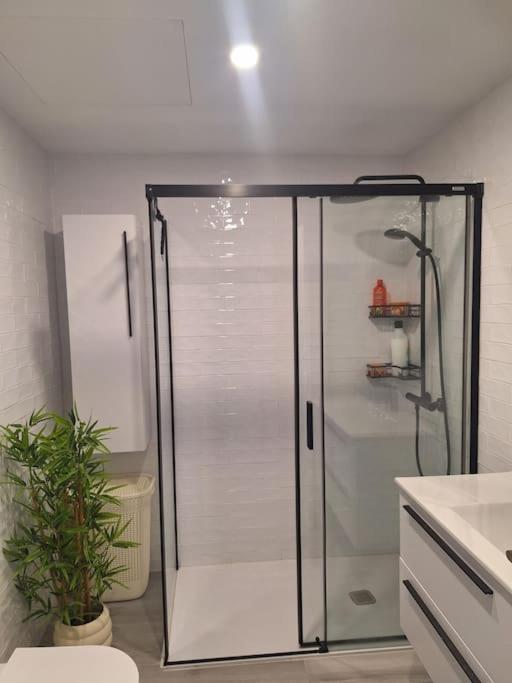 Roger Apartment 29 Platja d'Aro - Apartamento de 2 dormitorios - 16