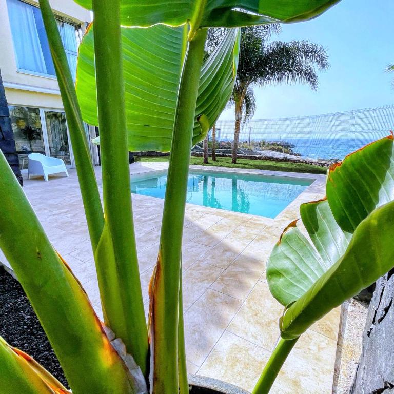 Luxury Oceanview Villa de Nava with heated private pool - Villa de 2 dormitorios - 6