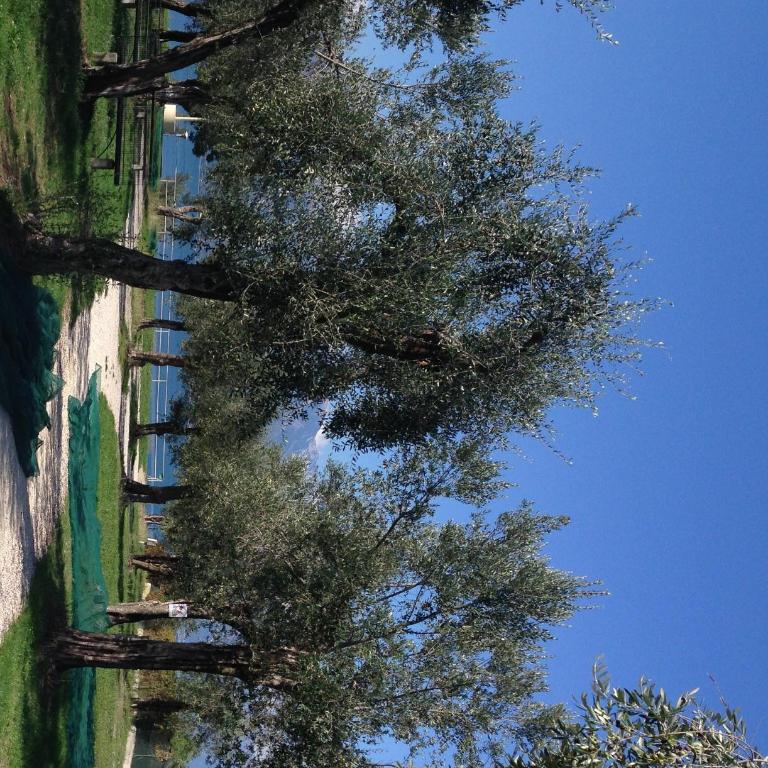 Ca' dei Gatti - Casa Vacanze - 56