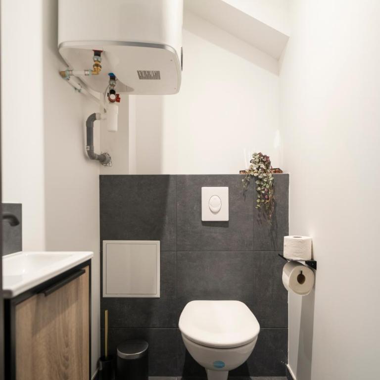 L'éclat de Gambetta - Place Stanislas - 6 Pers - Appartement 3 Chambres - 35