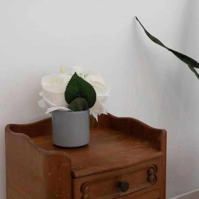 Cosy and hyper central Jean Medecin - Appartement 1 Chambre - 20