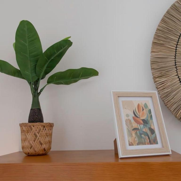 Cosy and hyper central Jean Medecin - Appartement 1 Chambre - 21