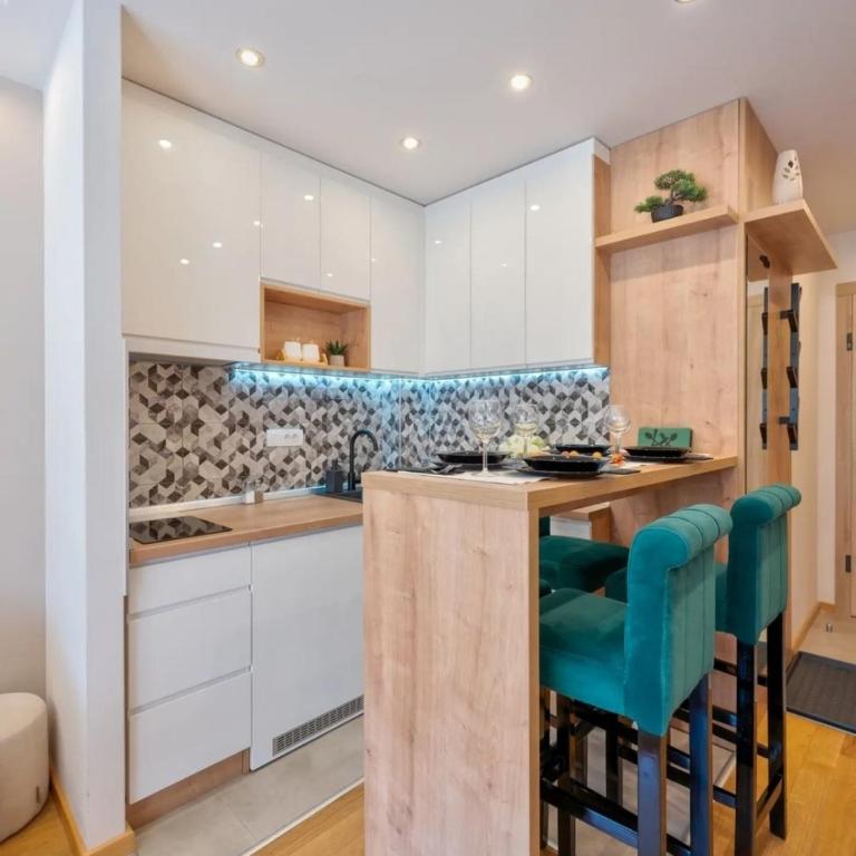 Aurora Onore Zlatibor - Apartman sa 1 Spavaćom Sobom - 8