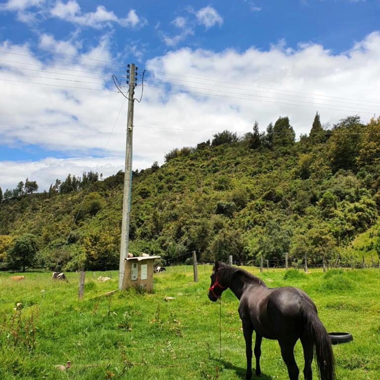 Encantador refugió natural - Apartamento de 2 dormitorios - 40
