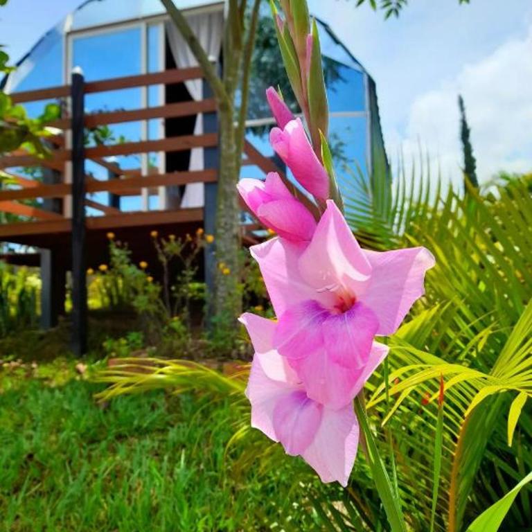Glamping Mirador Barichara - Double Room - 26