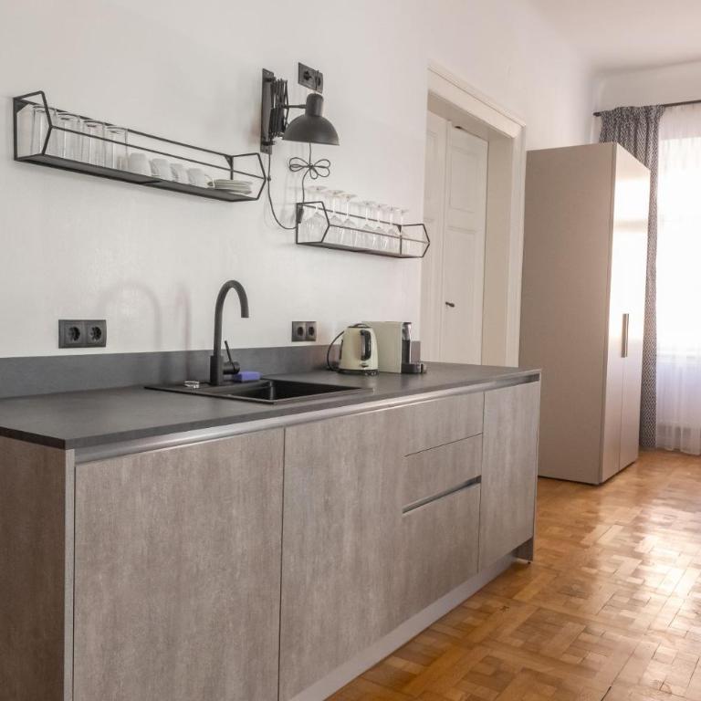 Designer Boutique Apartments Graz Trauttmansdorffgasse - Appartement Supérieur 2 Chambres - 12