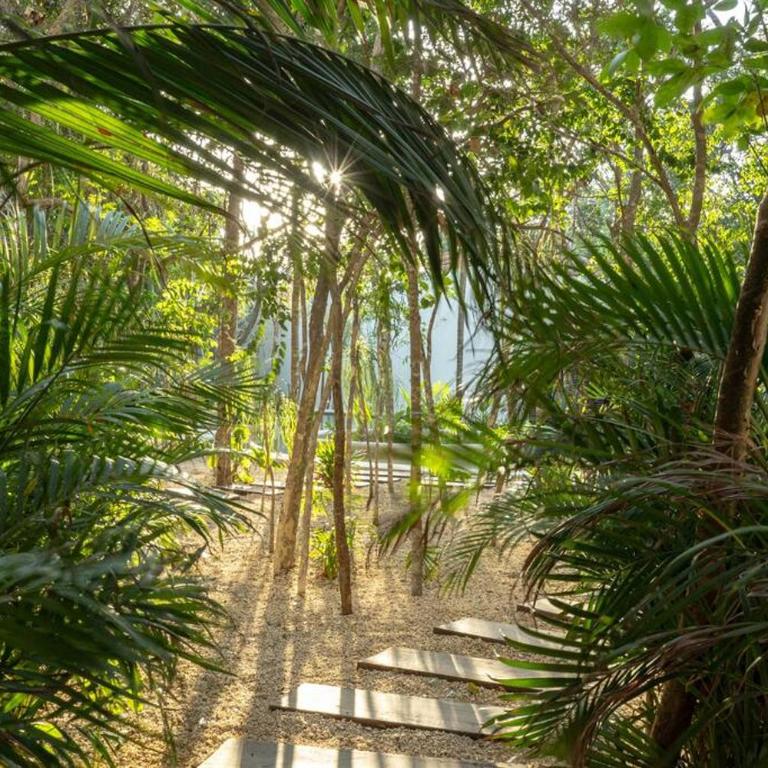 New 2 Bed and Bath - Tulum - Views to the jungle - Apartamento de 2 dormitorios - 18