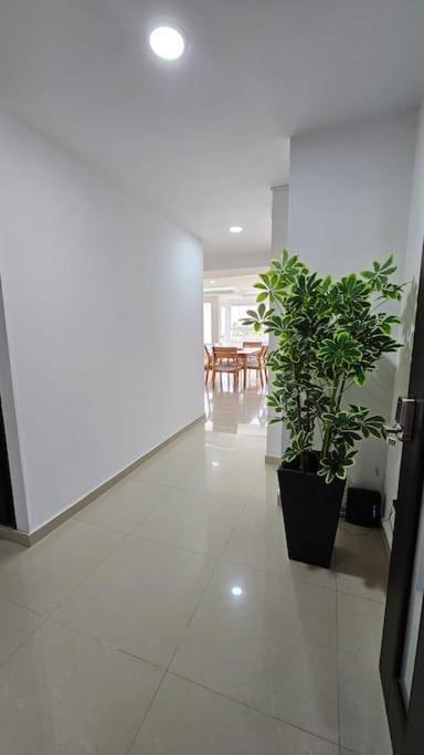 Spacious & Serene Escape in Cartagena de Indias AIR CONDITIONING and Best Location - Apartamento de 2 dormitorios - 11