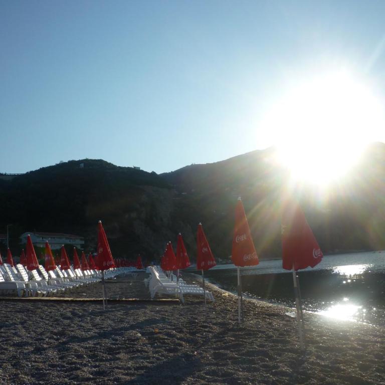 Apartments Dijana - Apartman - 11