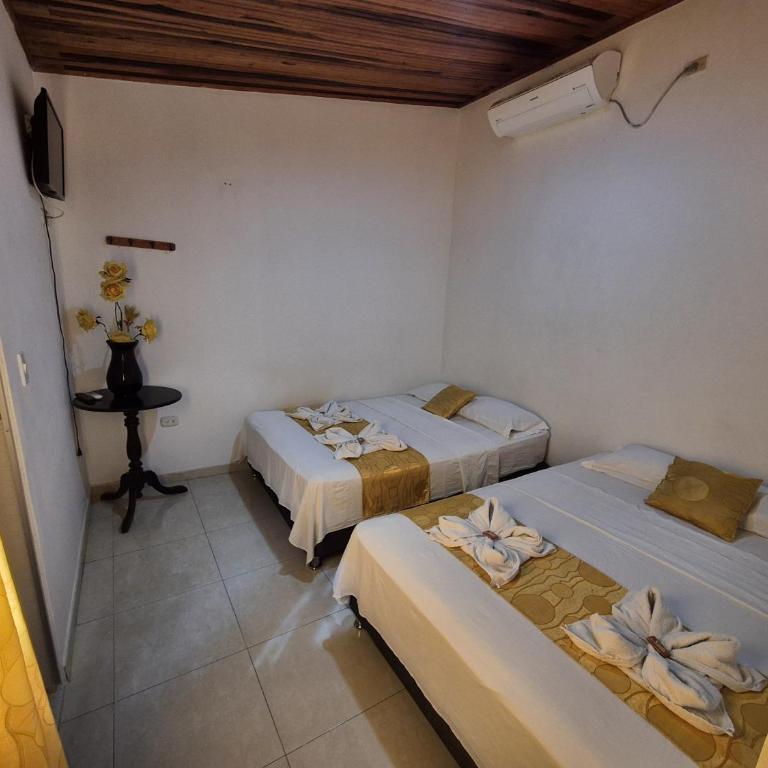 Casa Hotel Diana Luz - Habitación Compartida Mixta - 4