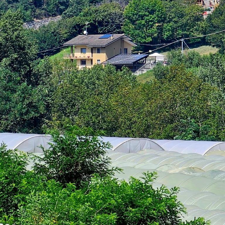 "Rouet" Sci & Natura - Apartment mit Blick auf die Berge - 22