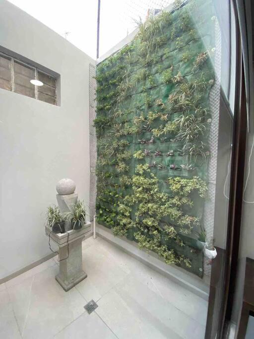 Petite suite Ciudad de México - One-Bedroom Apartment - 31