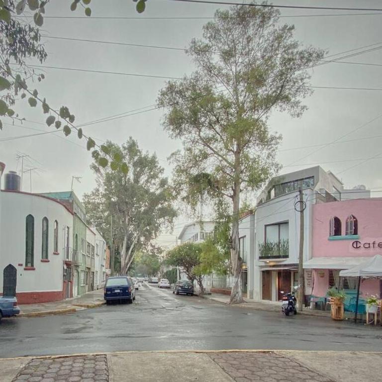 Petite suite Ciudad de México - One-Bedroom Apartment - 43