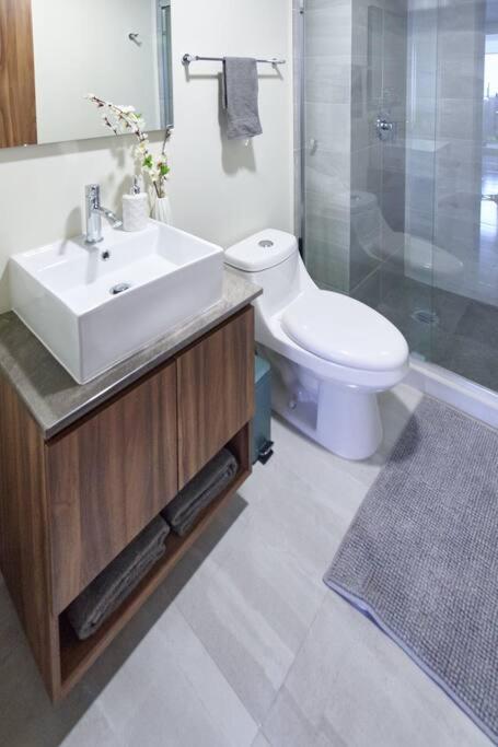 Acogedor departament México City - Two-Bedroom Apartment - 30