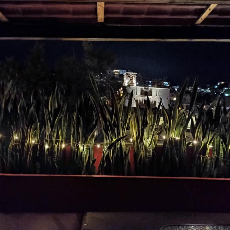Vista Reforma - Standard Double Room - 8