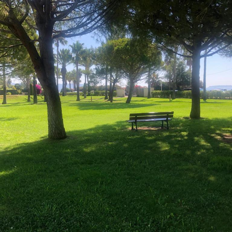Cannes Terrace Beach Front & Sea view - Apartment mit Terrasse - 82