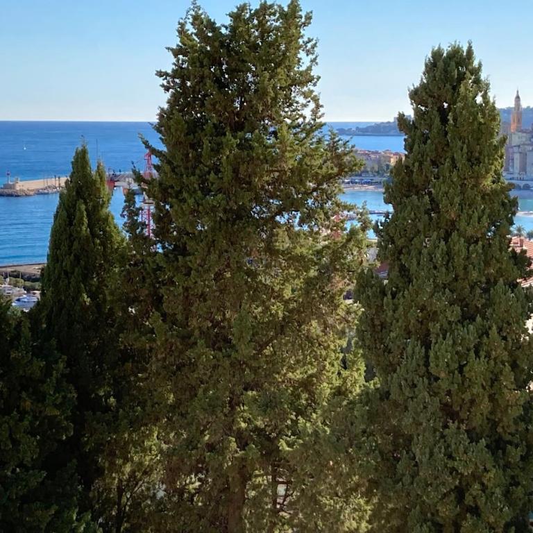 'La Villa Hygie' Cozy Appartement, Vue Mer - Appartement 1 Chambre - 16