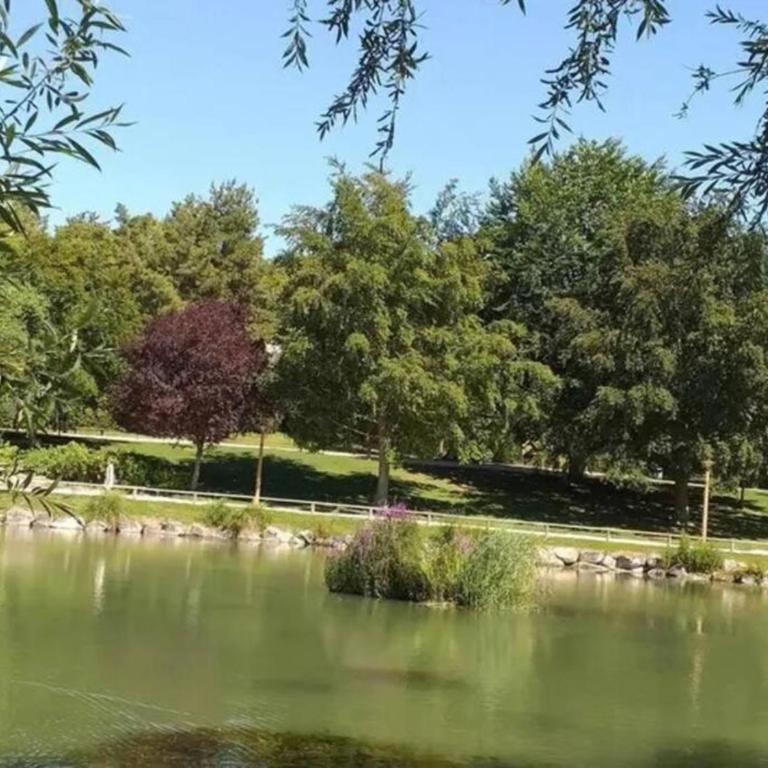 Reims centre-ville -au1er étage avec 2 chambres - 6 personnes - Appartamento con 2 Camere da Letto - 16