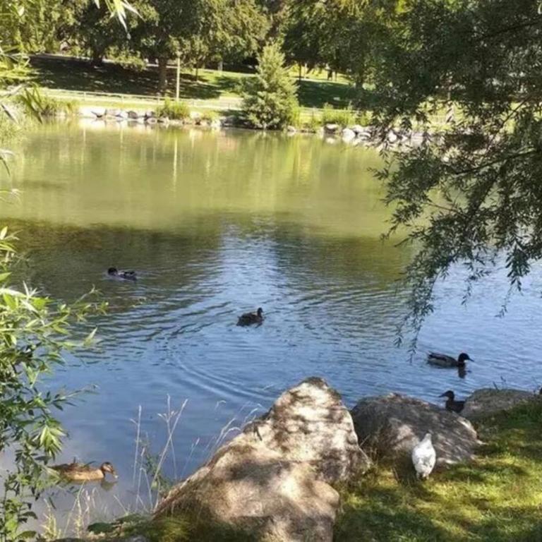 Reims centre-ville -au1er étage avec 2 chambres - 6 personnes - Appartamento con 2 Camere da Letto - 38