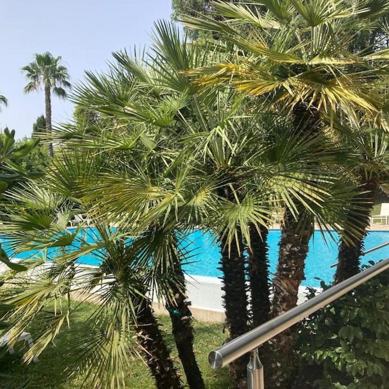 Cocon paradisiaque avec piscine, terrasse, jardin au calme absolu - Appartement 1 Chambre - 10
