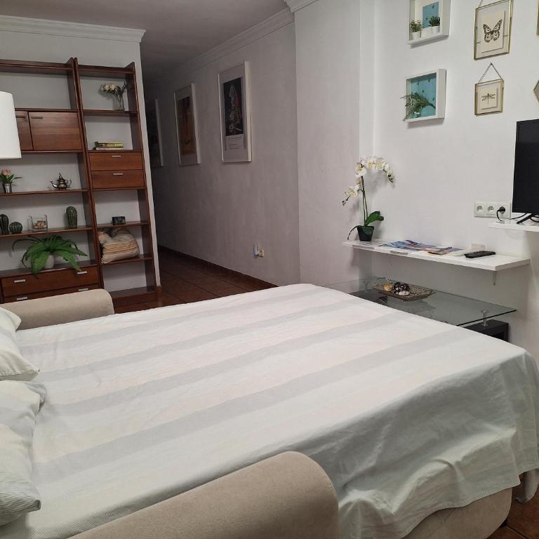 Departamento Malaga - Apartamento de 2 dormitorios - 16