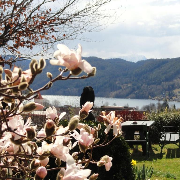 Ruhige Wohnung mit schönem Eigengarten in Seeboden am Millstättersee - Apartment mit 2 Schlafzimmern - Erdgeschoss - 25