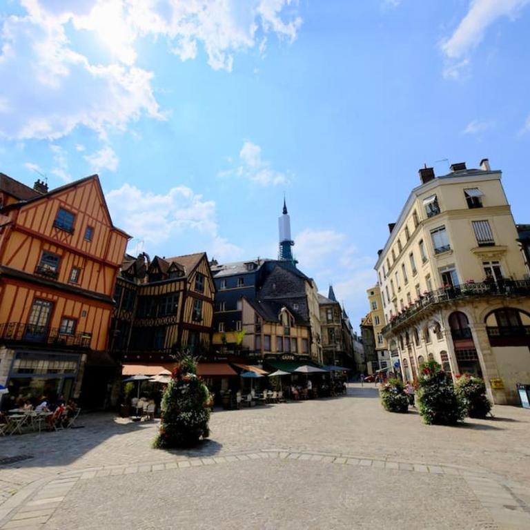 Rouen centre - Aux portes de Saint Maclou - One-Bedroom Apartment - 9