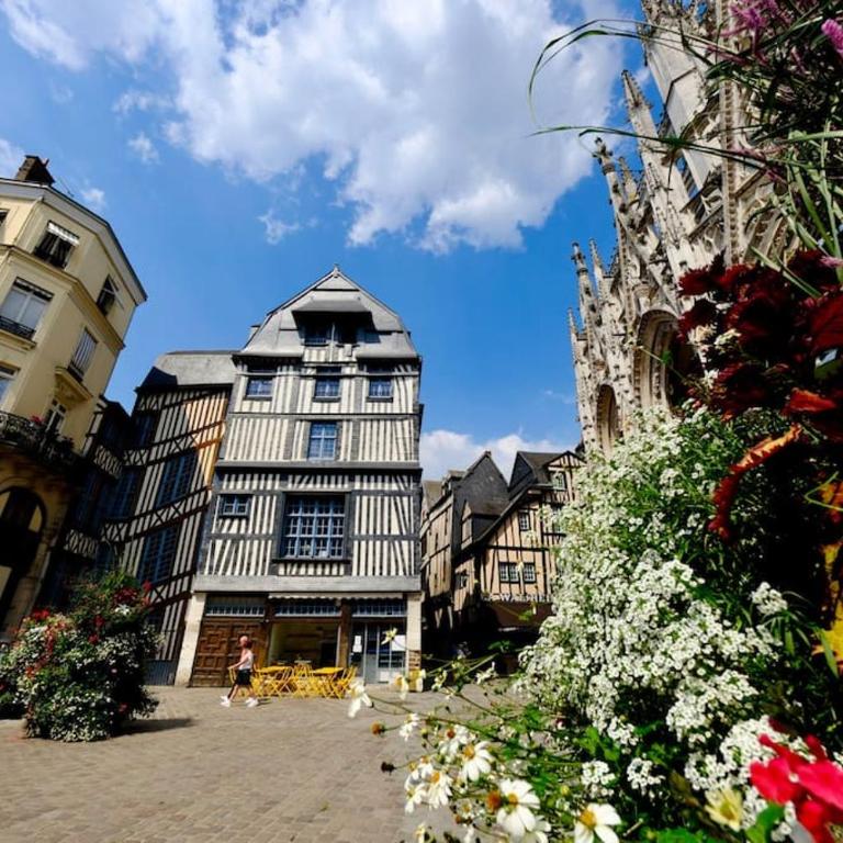 Rouen centre - Aux portes de Saint Maclou - One-Bedroom Apartment - 11