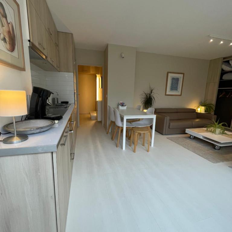 Appartement ,superbe terrasse 40m2 , vieux Lille , centre ville - Apartment with Terrace - 3