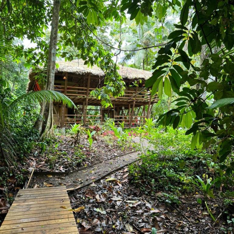 Madre Selva Eco Lodge - Habitación Doble con terraza - 1 o 2 camas - 17