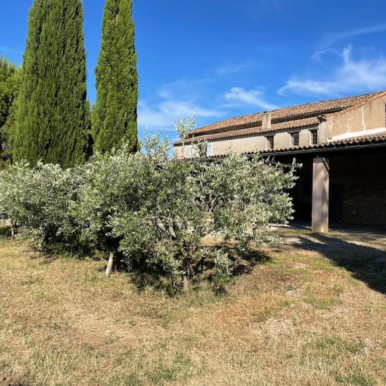 Domaine des Lions - Gîte en duplex confortable pour 4p vue vignes avec terrasse - Casa de 2 dormitorios - 24
