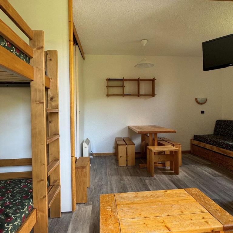 Studio au pied des pistes, animaux acceptés, WiFi gratuit - Monolocale - 10