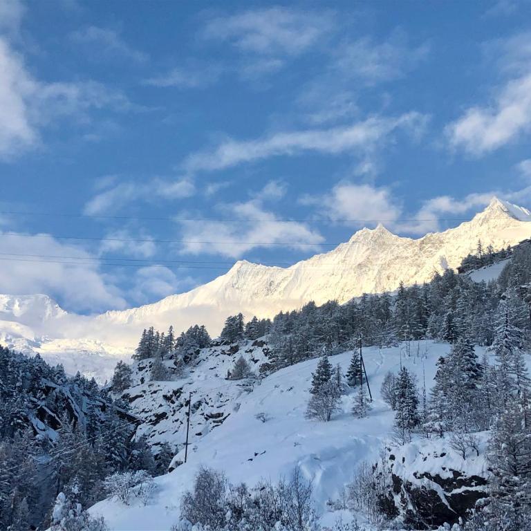 Cresta Loft in Saas-Grund - Apartment mit 2 Schlafzimmern - 15