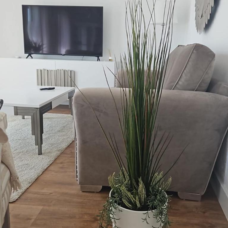 Precioso Ático de Lujo en Calle Ancha - Apartamento de 3 dormitorios - 17
