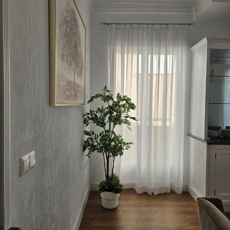Precioso Ático de Lujo en Calle Ancha - Apartamento de 3 dormitorios - 22