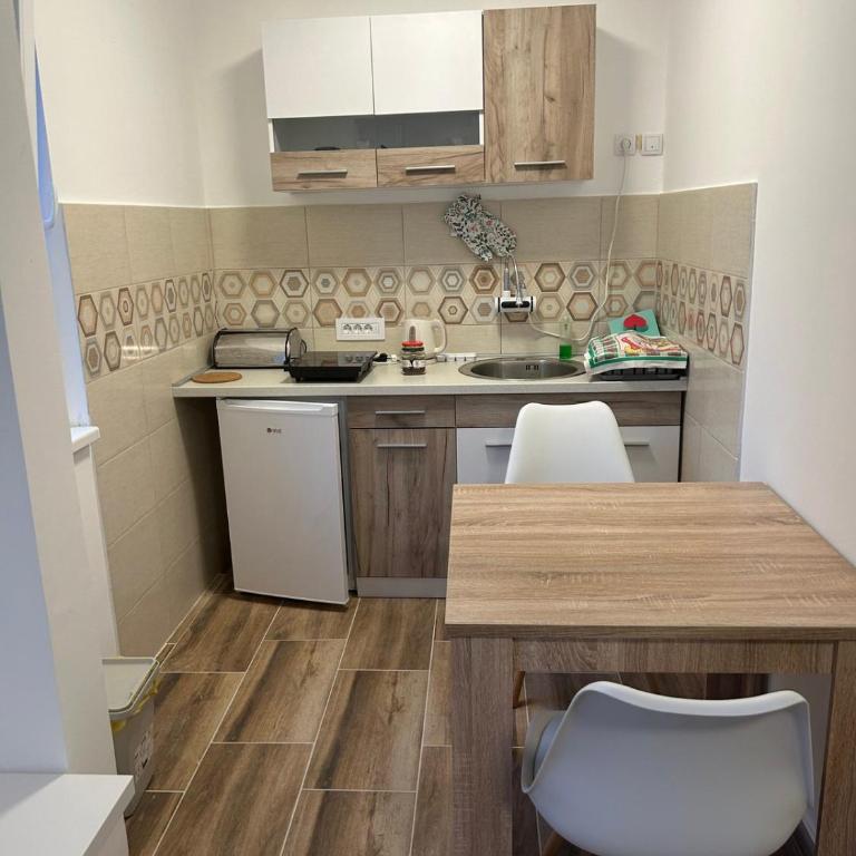 Vila RUŽA - House of Roses - Studio with Garden View - 9