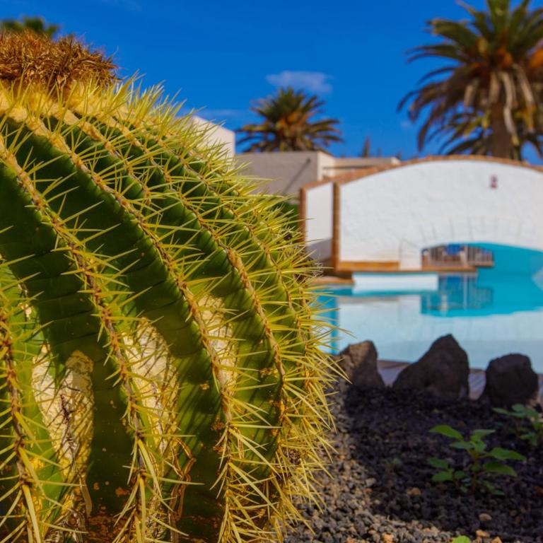 El Secreto de la Isla iRent Fuerteventura - Two-Bedroom House - 30