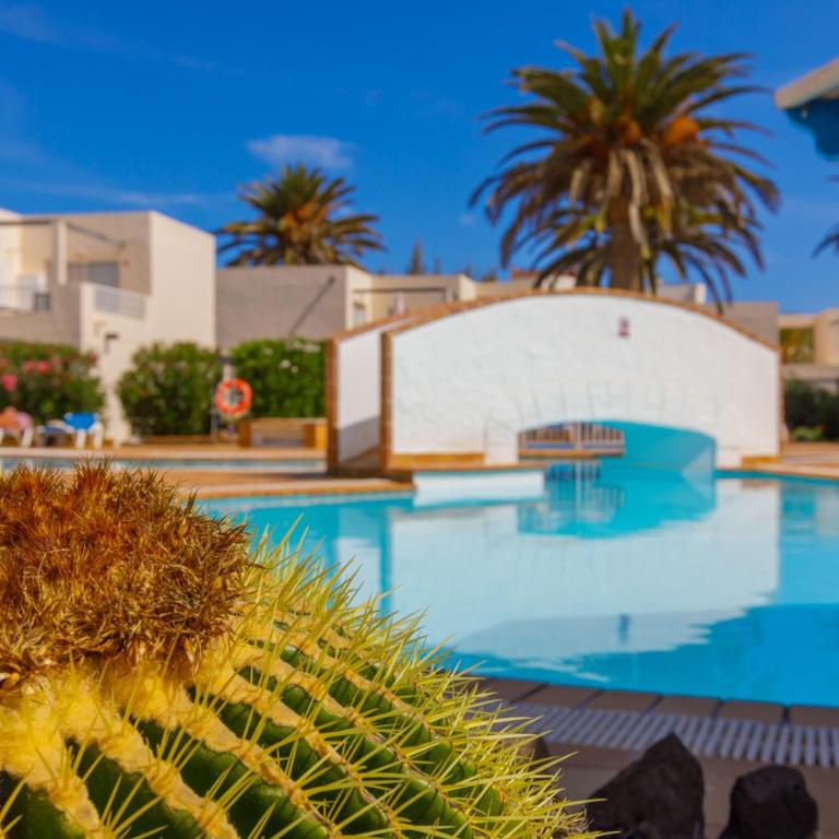 El Secreto de la Isla iRent Fuerteventura - Two-Bedroom House - 34