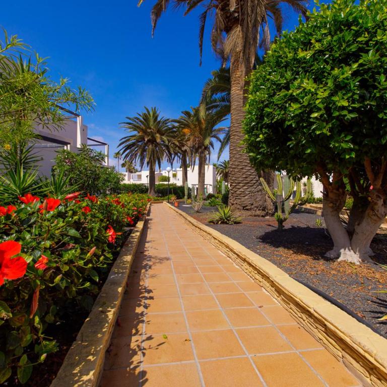 El Secreto de la Isla iRent Fuerteventura - Two-Bedroom House - 35