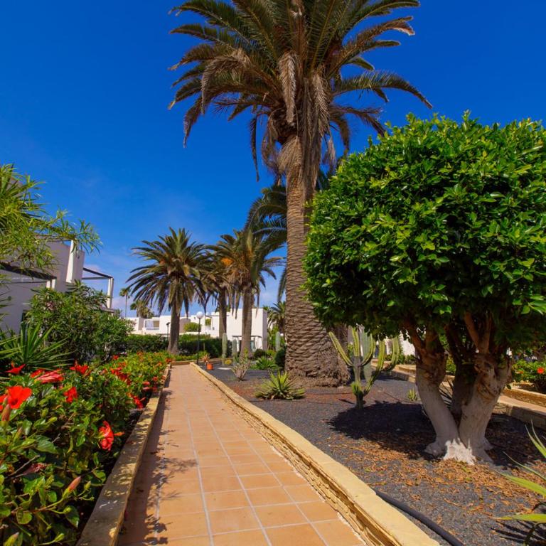 El Secreto de la Isla iRent Fuerteventura - Two-Bedroom House - 40