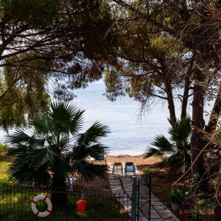 Casa cancello a mare - Villa - 13