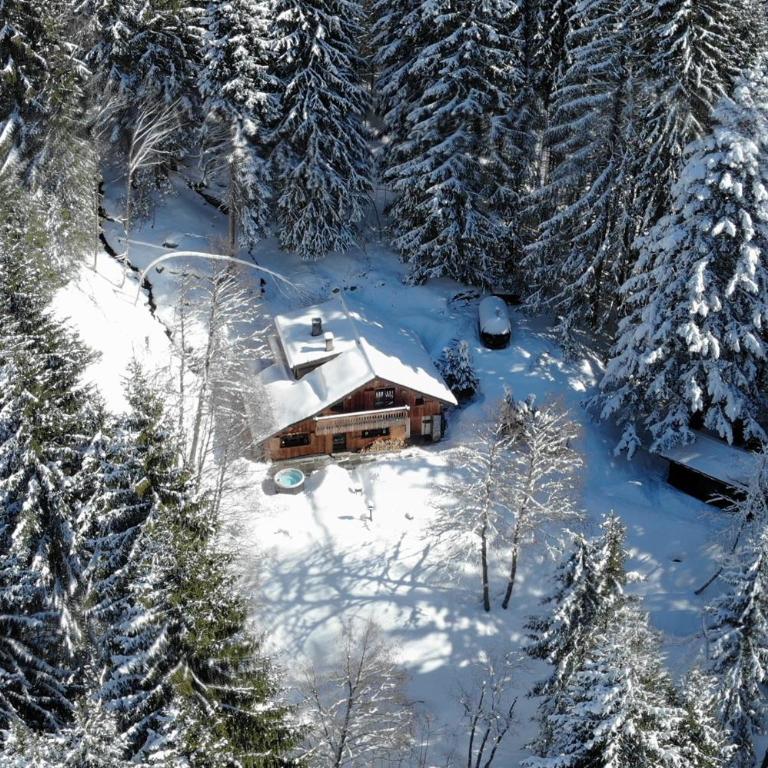 Marmotte Mountain Retreat - Chalet - 2