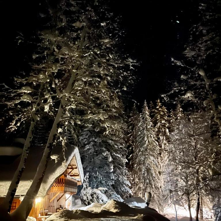 Marmotte Mountain Retreat - Chalet - 31