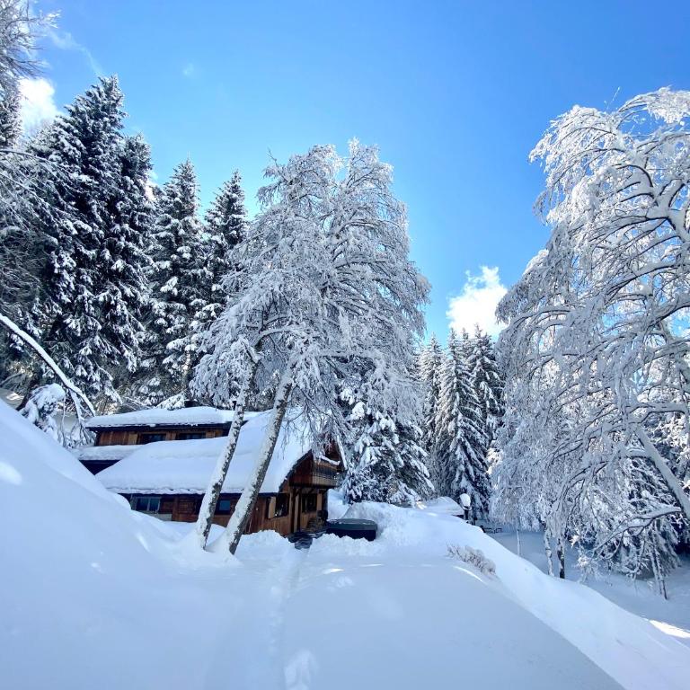 Marmotte Mountain Retreat - Chalet - 29