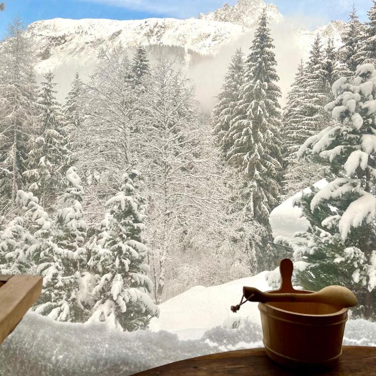 Marmotte Mountain Retreat - Chalet - 5