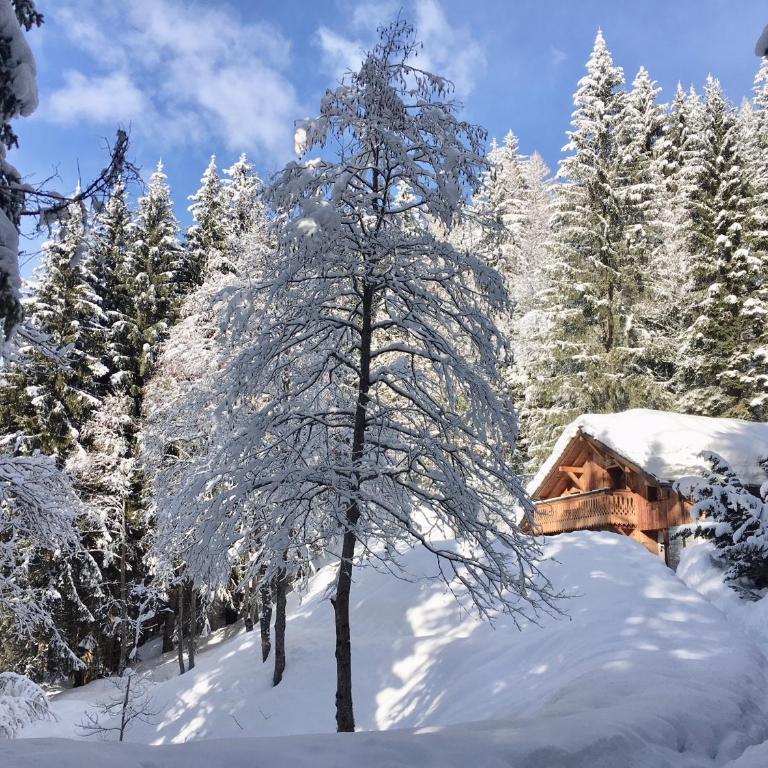 Marmotte Mountain Retreat - Chalet - 30